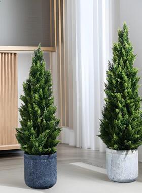 拆装仿酒真松柏LQL树可盆栽室内店饰落地摆件仿真树装圣诞树摆件