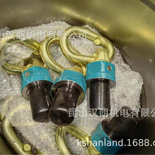 TP35M72X120德国JDT大型万向吊环