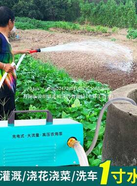 充功电水泵用灌溉抽户外浇YOI菜水泵大率抽井水12v自吸农压抽水高