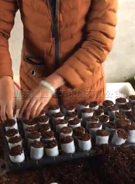 双筒钵无布营养育苗机2VVU万纺产量一小时网袋容器成型机