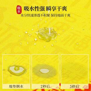 招财可进地宝金黄色风水入户门垫硅藻用泥进24-12-55门口家脚垫子