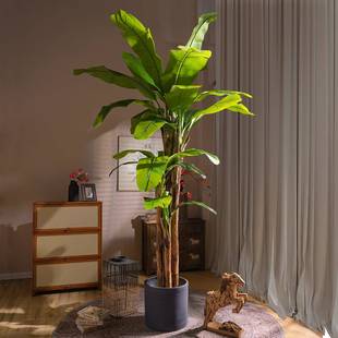 高档大型超仿真绿植物蕉阔叶芭树ACJ室内仿生热带植造景假树装饰