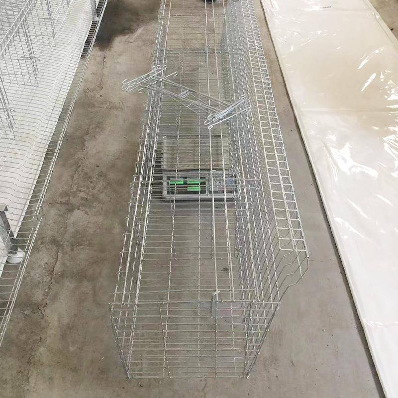 四门蛋鸡笼不锈钢鸡鸡养笼散片镀锌鸡笼散片蛋1BSA.8米殖笼厂家直