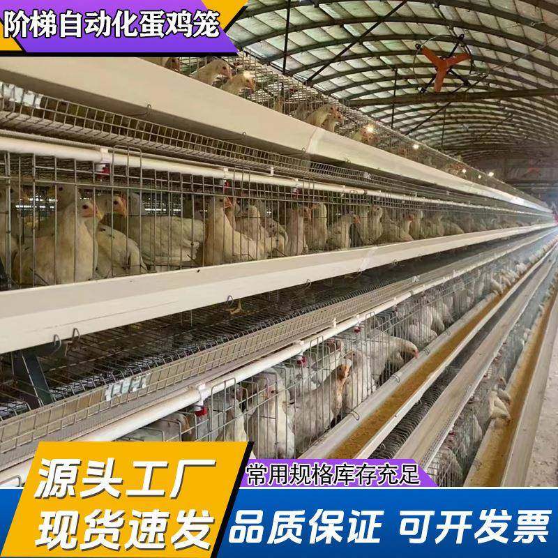 自动化阶梯式养鸡蛋鸡设备多层养殖自动化清粪喂料捡蛋热镀锌设备,畜牧/养殖物资,特种养殖设备,淘宝优惠券,粉丝福利购,淘宝优惠卷