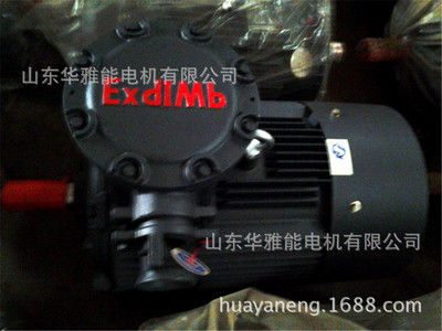 185KWYBBP电机整机及端盖风罩