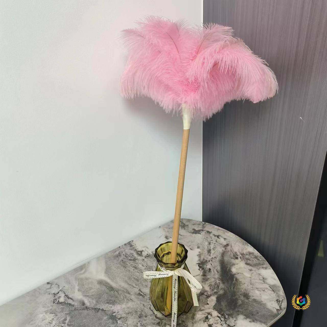 ?真鸵鸟毛掸子钢琴清洁不掉毛加密除尘扫加厚鸡毛掸车用打扫卫生,玩具/童车/益智/积木/模型,垂直悬浮玩具,淘宝优惠券,粉丝福利购,淘宝优惠卷