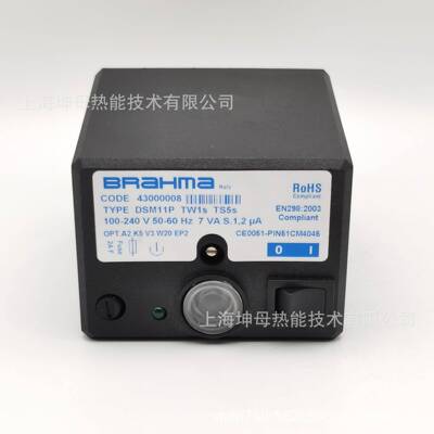 布莱玛（BRAHMA）程控器DSM11P100-240V燃烧控制器