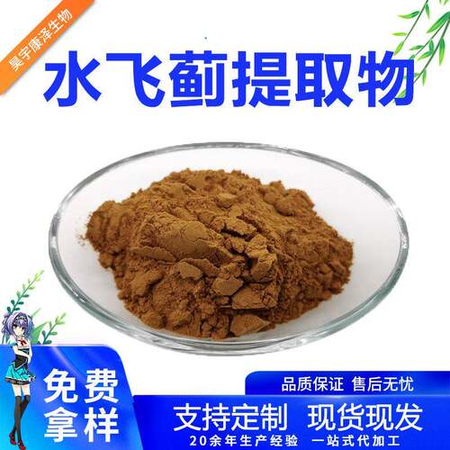 水飞蓟提取物100g水飞蓟素Silymarin65666-07-1固体饮料原料