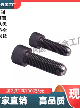 半珠动向螺丝  PT17B-1665/1690/20050/20080/20100/24060/24900/