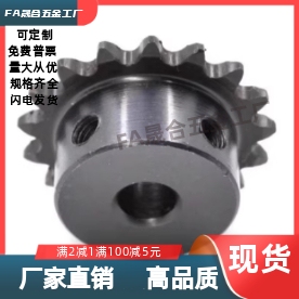 BSP50B10 11 12 13 14 15 16 17 18-N-18 15 20 22 25 28 30 链轮