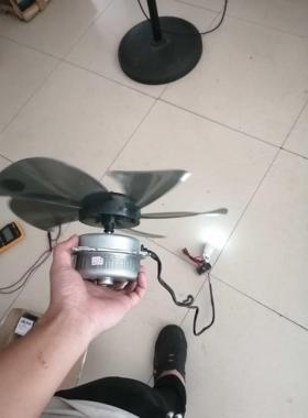 12VJLM24V36V4V60V728V22力0V伏低速三相无刷交风发电机200瓦水流