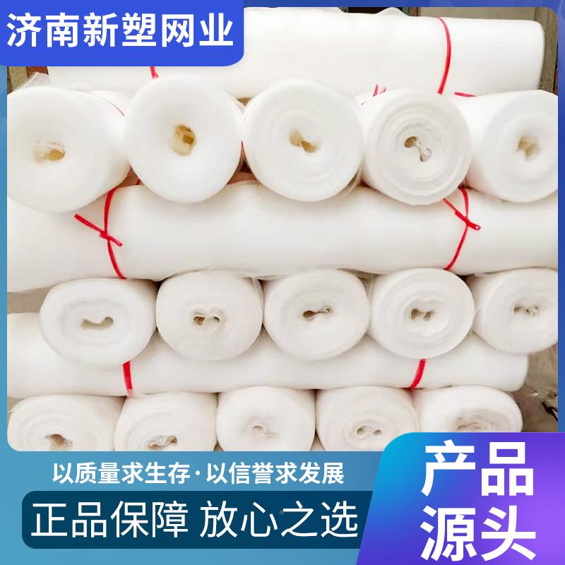 农用防厚虫网纱网地大棚网XEY养猪殖场场防蚊苍蝇果树防菜鸟加密