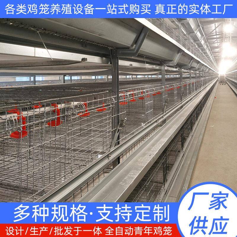 加粗加密热镀锌青年鸡育雏笼七彩山鸡养殖笼自动收集清粪四层式
