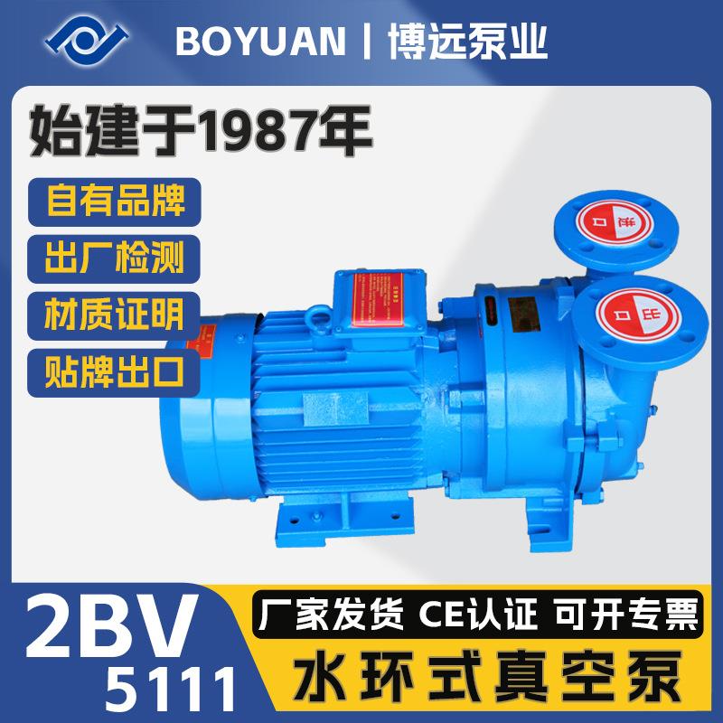 2BV5111水环真空泵5.5kW工业造纸食品化工循环水真空设备博远泵业
