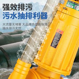 上海上元上元泥污水泵小型排污泵农用塘抽水家机用泥沙浆池清淤潜