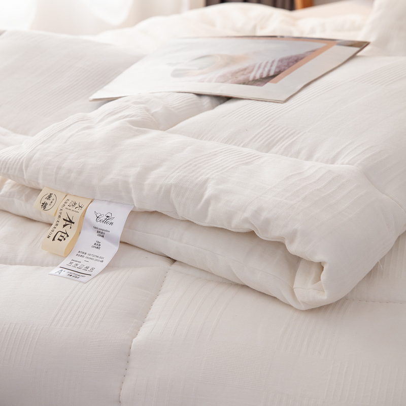 A类全棉不染原棉棉花被四季被学生单人被芯新疆棉花被褥垫被家用