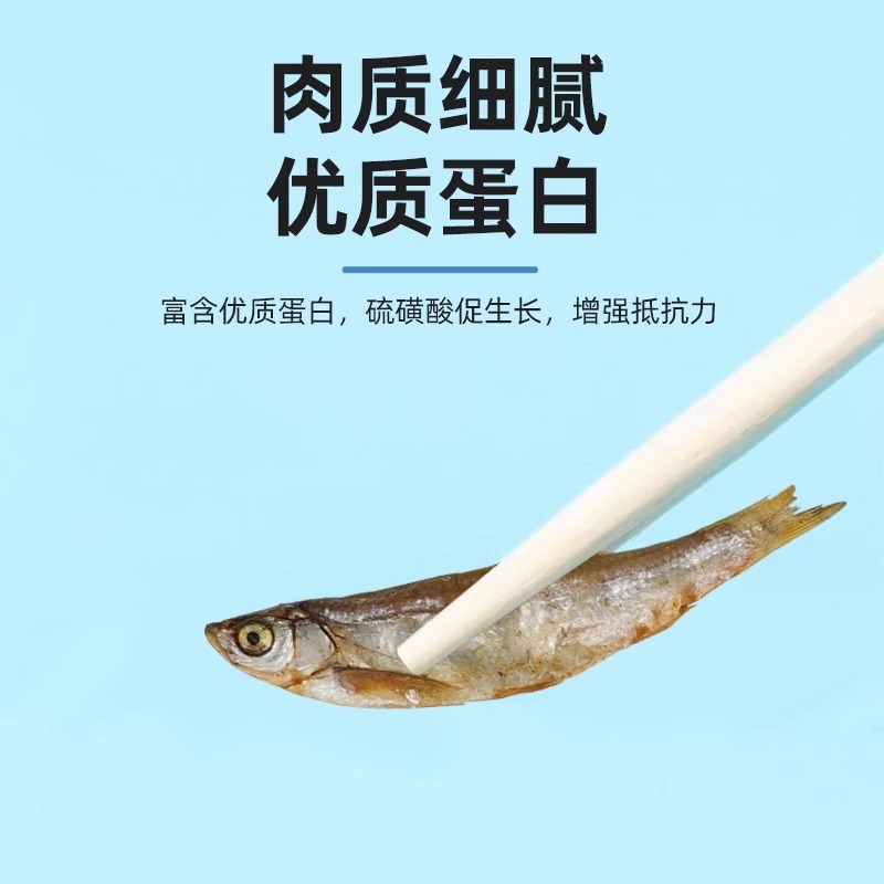 成长天使宠物小鱼干猫粮猫零食猫吃的猫咪专用猫粮小猫鱼干猫冻干