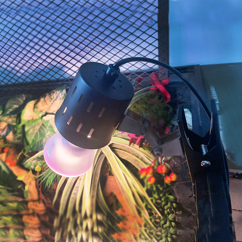 爬宠玻璃缸灯夹乌龟缸开放式水龟半水龟晒背灯架鬃狮黄缘晒背灯夹,宠物/宠物食品及用品,爬宠灯具,淘宝优惠券,粉丝福利购,淘宝优惠卷