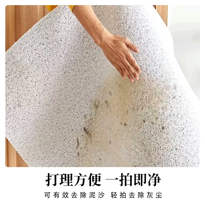 入户门地垫进门家用防滑脚垫子丝圈地毯门外门口门垫2024新款定制