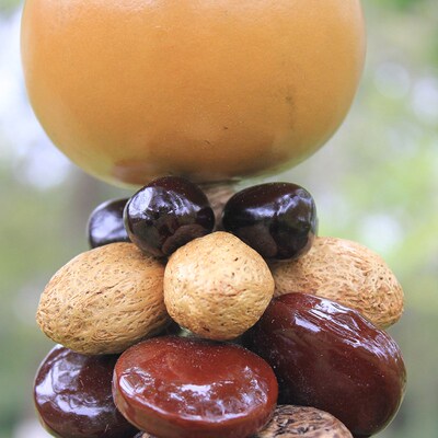 葫芦野果挂饰天然原色挂件云南特色手工风铃客厅卧室装饰中式门饰