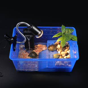 乌龟缸带晒台造景小型养乌龟专用缸幼龟饲养箱两栖盒带盖乌龟缸
