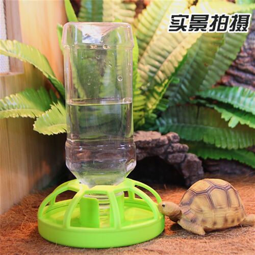 陆龟水盆食盆自动饮水器喝接水盘角蛙蜥蜴蛇乌龟用品爬宠爬虫喂水