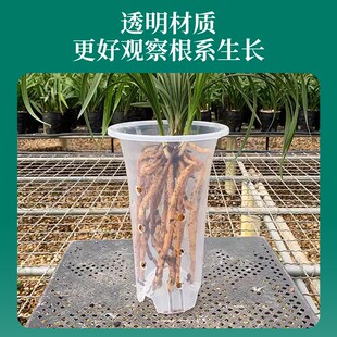 兰花盆专用花盆大口径透明塑料花盆透气高档高端建墨兰蝴蝶兰花盆