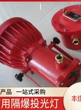 矿用隔爆型投光灯现货供应DGS70/127矿用隔爆型机车信号灯