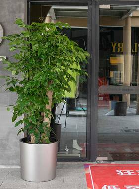 宜植堂北欧风简约懒人自动吸水大花盆树脂客厅室外阳台落地款花盆