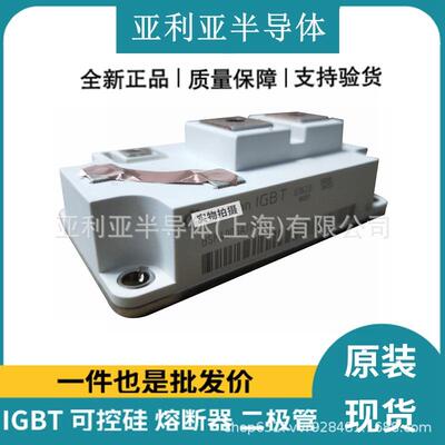 BSM300GA170DN2SBSM200GA170DN2SE-3256BSM300GA170DN2S-E3256