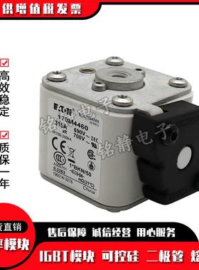 170M4514170M4515170M4516170M4517170M4518熔断器170M4519