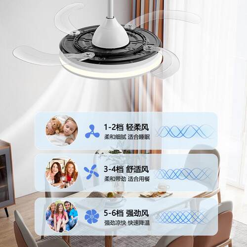 智家用客厅2风扇吊灯餐厅卧体室一吊扇灯291205新款网红隐形能风