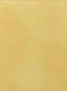 PPVC塑胶地板室纯内色地胶卷材加厚耐用塑胶地板CVMSZ地板