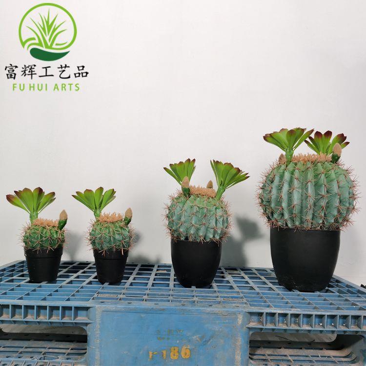 仙人掌仙人真花棒仙人球花083盆栽假套装组合家居装饰仿道具摆件