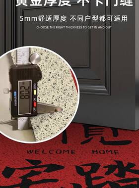 入户地垫红色喜庆2025新款进丝门门口门脚垫门厅门垫FS759074圈玄
