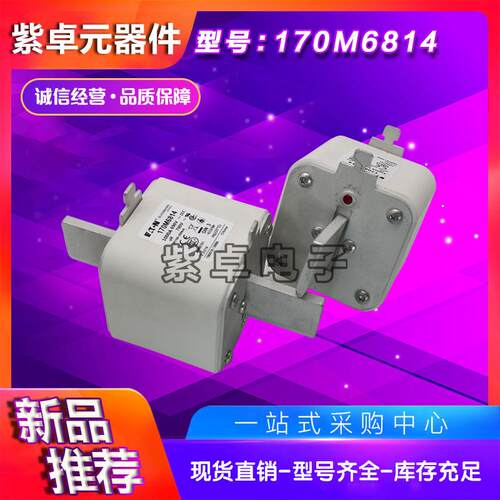 170M6812170M61170顿M688143伊巴斯170M6812曼快速熔断器保险丝