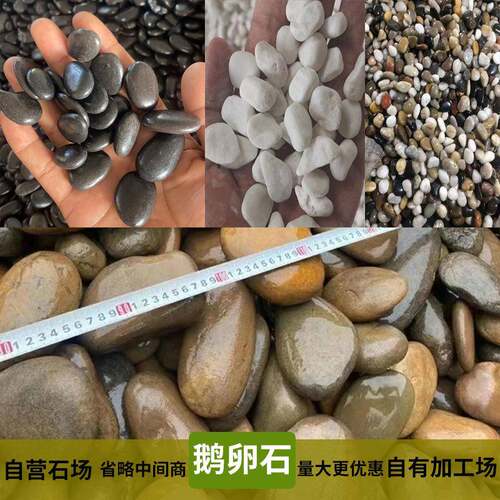 大量卵院鱼鹅缸花园造景五彩鹅卵石大色鹅石软石头子雨花石庭原石