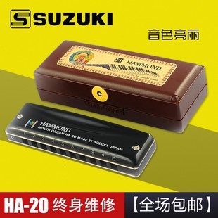 包邮 铃木10孔布鲁斯蓝调十孔口琴 20全金属口琴 SUZUKI日本铃木HA