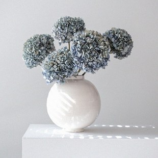 饰 Sabi天然干花永恒花束绣球真花插花客厅桌面墙面装 持久 Wabi