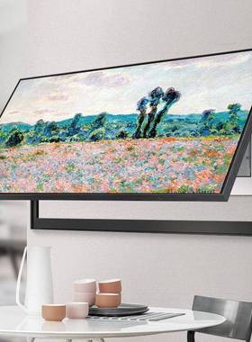 大尺寸电表梵ZXK高莫电奈空开箱多媒体免打箱孔配电箱挡电遮闸箱