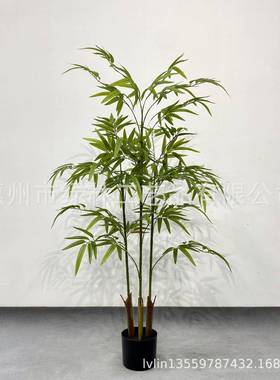 仿真拆装盆竹子室内屏客风饰景Llin003细水毛竹绿植厅装竹叶植物