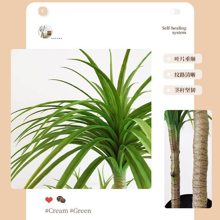 血植树绿10004702假植物轻龙奢客厅装饰树室内大栽型盆落地摆件