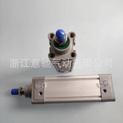 标准气缸SEDNC63-25-50-75-100-125-150-200-700-PPV-A