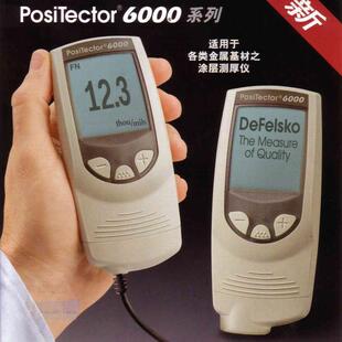 狄夫斯高DeFelsko6000FNTS1涂镀层测厚仪FN两用探头0~6mm