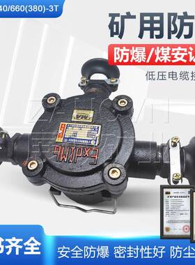 BHD2-40/660(380)-3T矿用防压隔爆电缆接线盒三通接线盒40A/660V