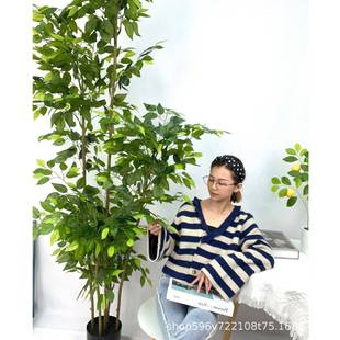 仿真榕树落地盆栽榕树叶北欧风景观树假树室内造景装饰摆件