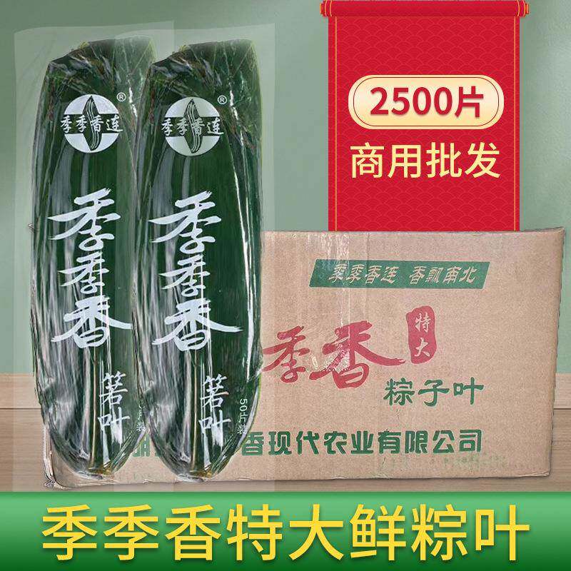 季季香新鲜粽叶整箱商用特大号粽子叶箬叶真空包装50片x50包一箱