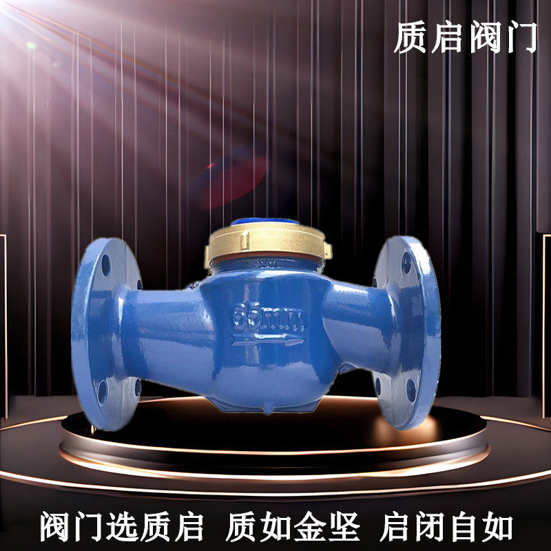汉水旋翼式水表宁波水平螺翼式水表三川法兰冷水表质启热水表DN50