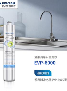 爱惠浦 Everpure EVP-6000 净水器主滤芯