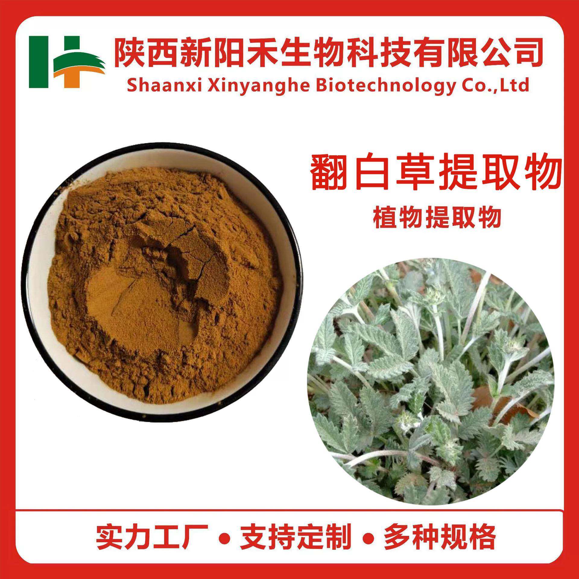 翻白草提取物翻白草粉叶下白提取物翻白草浓缩粉萎陵菜提取物